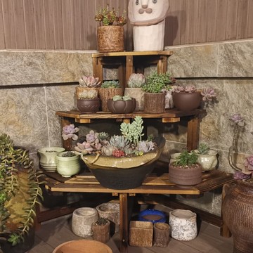 【萌妮】新款 轉角花架陽臺多肉花架實木多層階梯花架盆栽花架花