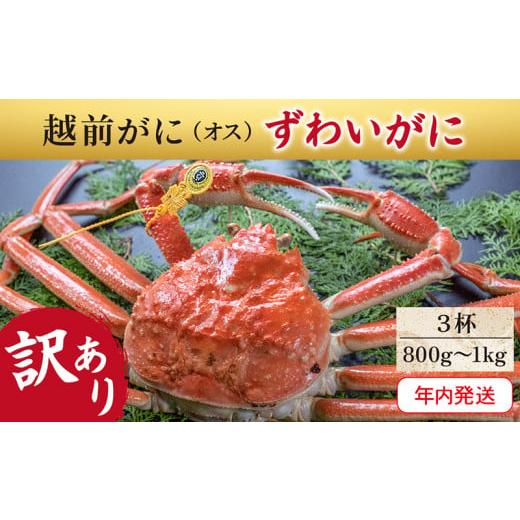 ふるさと納税 福井県 越前市 越前がに（オス）「ずわいがに」大サイズ（800g-1kg）訳あり 3杯