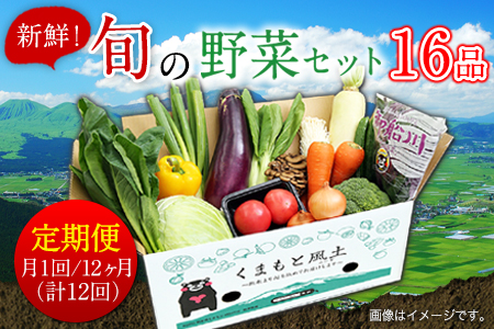 ★定期便 月1回 12ヶ月(計12回コース)★ 旬の新鮮野菜たっぷり16品セット★御船町産を中心とした旬の野菜セット 冷蔵 詰め合わせ 季節の野菜 安心・安全の野菜セット《お申込み月の翌月から出荷開始》