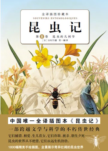 【電子書】昆虫记：昆虫的几何学（第8卷）