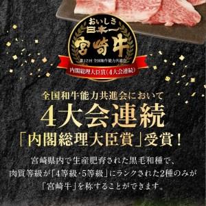 ふるさと納税 宮崎牛 ロース ステーキ 250g×2 宮崎県産和牛小間切れ 100g×2 計700g　N0147-ZB526 宮崎県延岡市