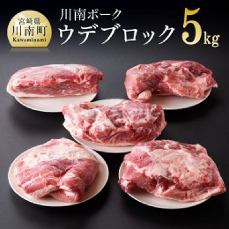 ふるさと納税】宮崎県産豚 川南ポーク ウデブロック 5kg 【 肉 豚肉 精肉 】 宮崎県川南町 通販 LINEポイント最大GET |  LINEショッピング