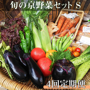 ＜アスカ有機農園＞旬の京野菜セットS＊毎月お届け全4回≪定期便 セット ふるさと納税野菜≫