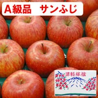 サンふじ青森りんご（約5kg）