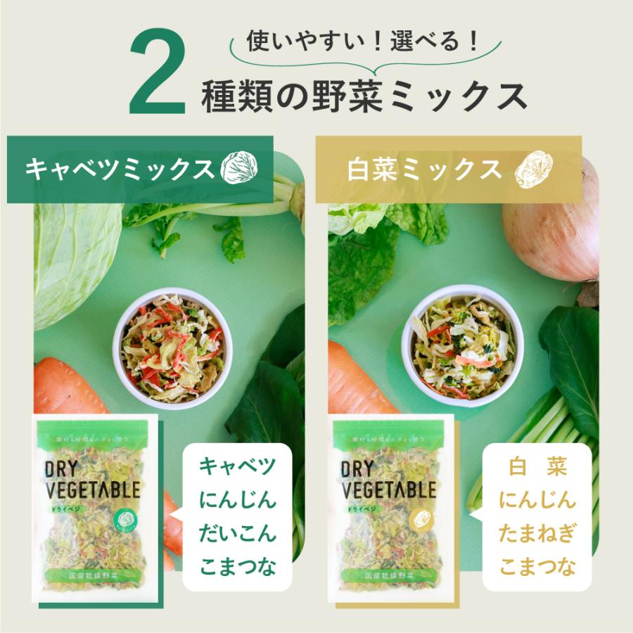 乾燥野菜 国産 DRYVEGETABLE 140ｇドライベジ ミックス 野菜 一人暮らし 常備菜 時短 味噌汁の具 キャベツ 白菜 小松菜 人参 大根 玉ねぎ