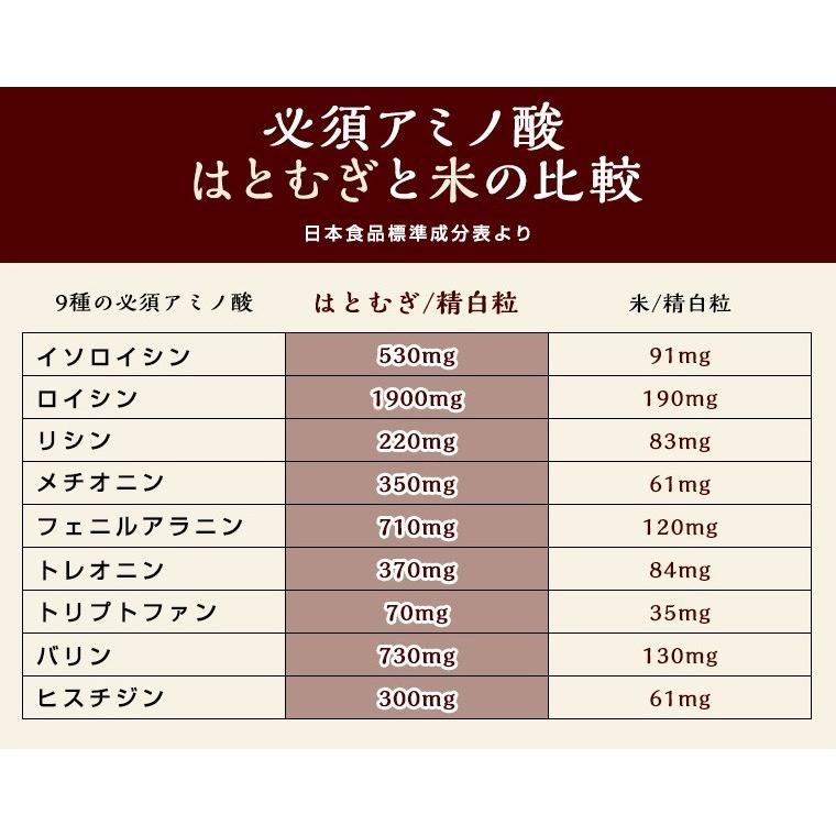 ハトムギ スナック 100g 2袋 セットそのまま 食べる はと麦 ヨクイニン はとむぎの実 はとむみ 送料無料