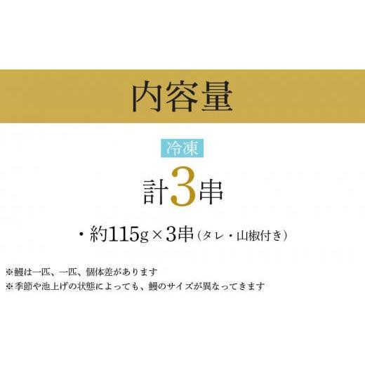 ふるさと納税 栃木県 栃木市 幻の国産ブランド鰻　共水うなぎのかば焼き　3串（約115g×3）タレ・山椒付き　極上の甘みとうまみ、ふっくらとした食感