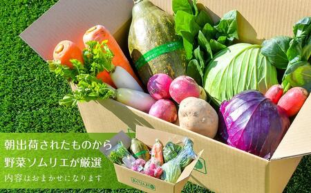 あぐりん村の新鮮野菜宅配BOX 常温配送期間