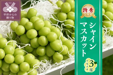 〈2024年度配送分〉Inakakara「特秀品シャインマスカット」3房