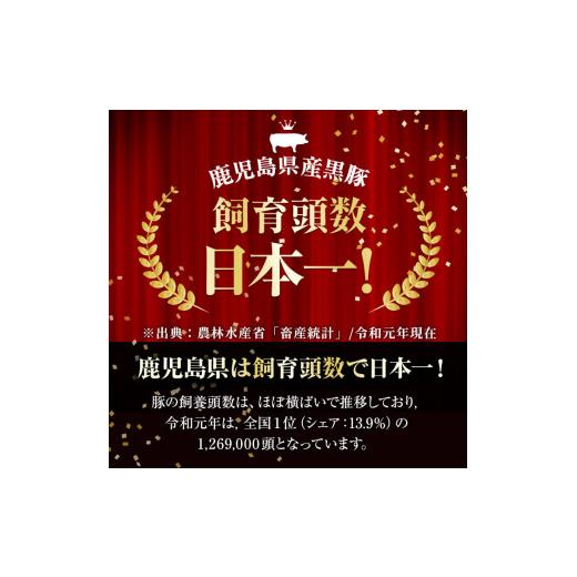 ふるさと納税 鹿児島県 志布志市 鹿児島県産黒豚焼肉セット計800g(肩ロース、バラスライス 各400g×1P) a0-286