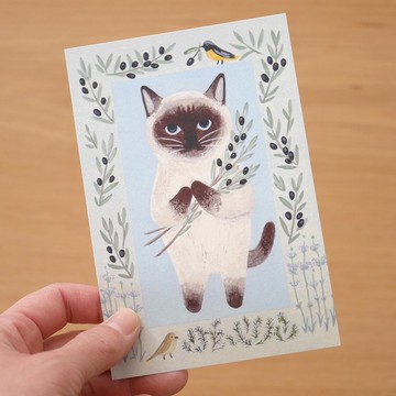 明信片 繪本中的貓咪 #12 暹羅貓