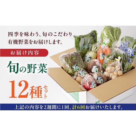 ふるさと納税 有機野菜 12種セット 詰め合わせ 野菜詰め合わせ 熊本県産有機野菜 山都町産有機野菜 産地直送 高原野菜 新鮮.. 熊本県山都町