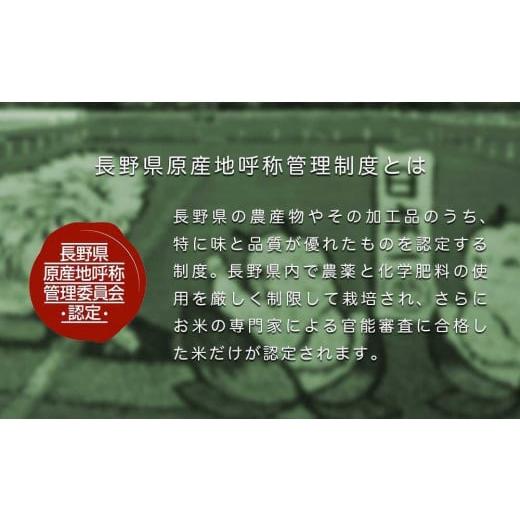 ふるさと納税 長野県 松本市 米 コシヒカリ 風さやか 食べ比べ 10kg 5kg × 2袋 長野県産