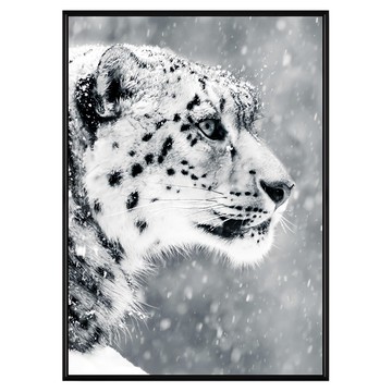 堅持 雪豹 NS_墨特-雪豹 黑色  40 x 30cm