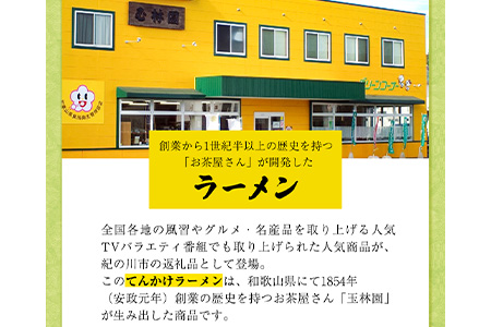 てんかけラーメン12個 玉林園《90日以内に順次出荷(土日祝除く)》 和歌山県 紀の川市 ラーメン 天かす---wsk_cgretkndle_90d_22_18000_12p---