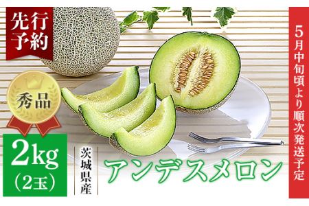 007-1茨城県産アンデスメロン約2kg（2玉）