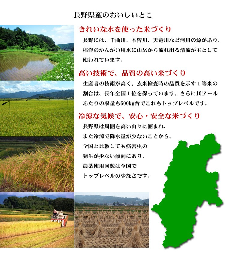 新米 無洗米 5kg ミルキークイーン 長野県産 令和5年産 1等米 ミルキークイーン お米 5キロ 安い 送料無料