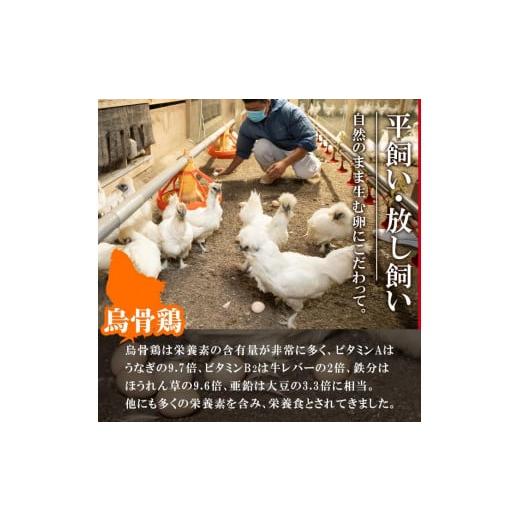 ふるさと納税 大分県 佐伯市 平飼い烏骨鶏のたまご (計10個) 元さん農園