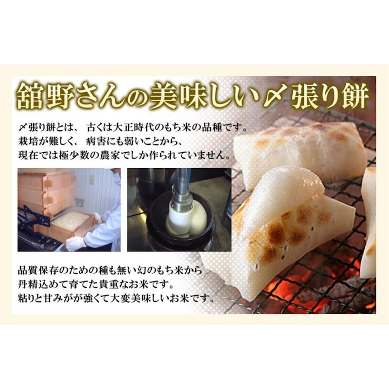 餅 南魚沼産 〆張り餅 送料無料 新潟県南魚沼市 舘野さん 幻の〆張り餅 450g(10枚入)1パック 生産者保証餅