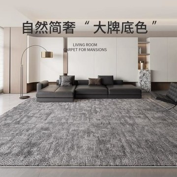 分銷地毯客廳意式極簡2025新款防水臥室免洗可擦輕奢高級家用地墊