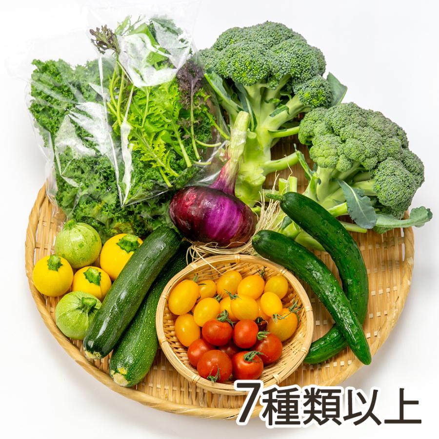 季節のおまかせ野菜セット 7種類以上 河合農場 送料無料