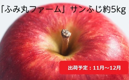 11月～12月発送 ふみ丸ファーム  最高等級「特選」サンふじ 約5kg 