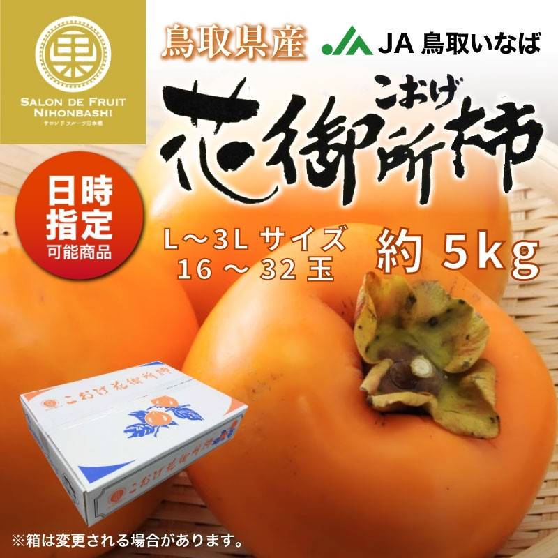 [予約 2023年 11月15日-12月31日の納品] こおげ 花御所柿 約5kg L-3L 16-32玉 鳥取県産 産地箱 JA鳥取いなば 幻の甘柿 柿 冬ギフト お歳暮 御歳暮