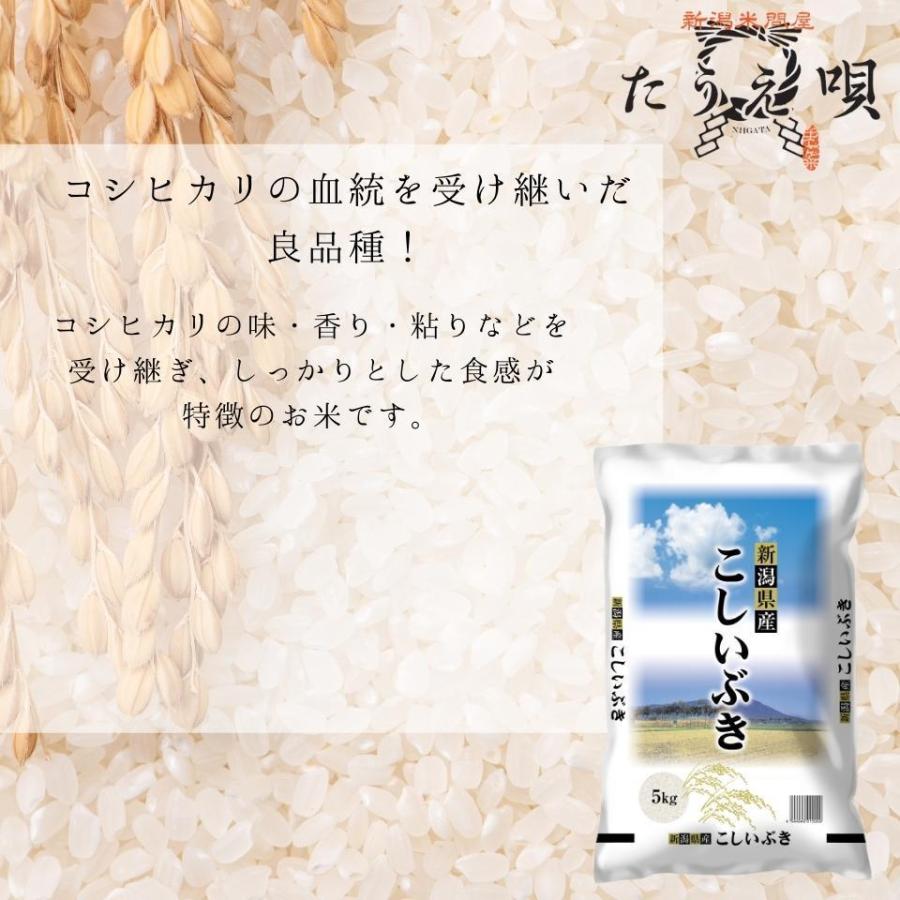 新米 令和5年 お米 10kg 送料無料 新潟県産こしいぶき 10kg 送料無料 米 お米 白米 新潟から産直販売 お祝い ギフト