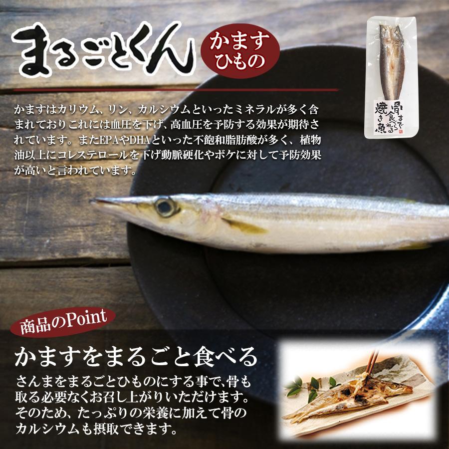 まるごとくん2種6食セット 干物 魚 真あじ かます 真空パック 常温保存 レトルト食品 惣菜 国産