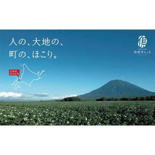 ふるさと納税 北海道 倶知安町 藏出 倶知安じゃが 令和5年 倶知安産 特栽 きたかむい LM 5kg D／B 特別栽培 じゃがいも 越冬