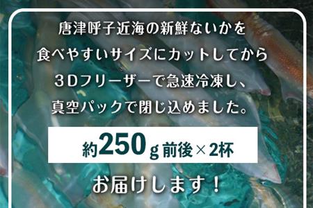 唐津呼子産いか活造り 2杯(約250g×2) 急速冷凍 新鮮そのまま食卓へ！イカ 刺身 簡単 ギフト