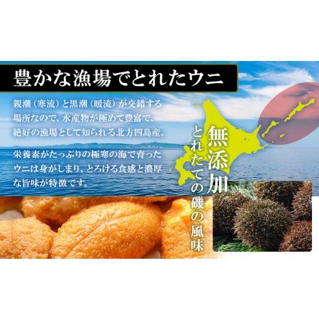 ふるさと納税 塩水エゾバフンウニ 瓶2本セット マルタカ高橋商店 北海道知内町