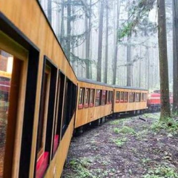 福森號森好食｜鄒族部落風格體驗．迷霧醇香．阿里山英迪格酒店二日_26RFIDGA