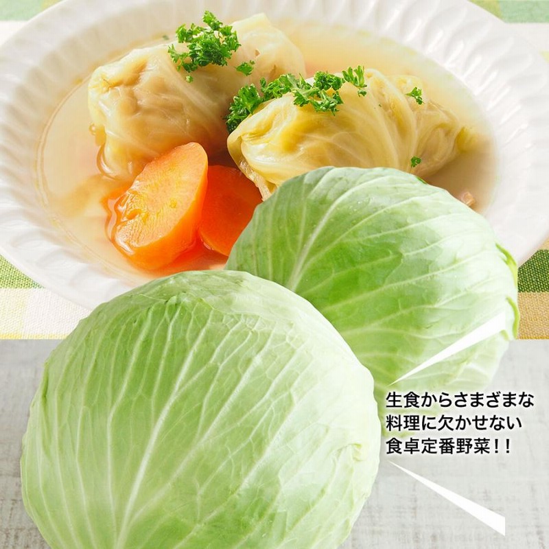 野菜セットC（キャベツ5玉・たまねぎ約5kg・ピーマン約2.5kg