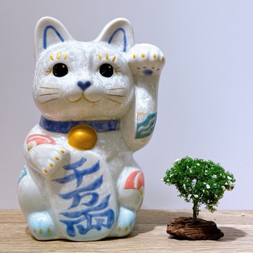 【瑞水耀両】日本清水燒招財貓 | 花結晶水白 - 千万両 特大 左