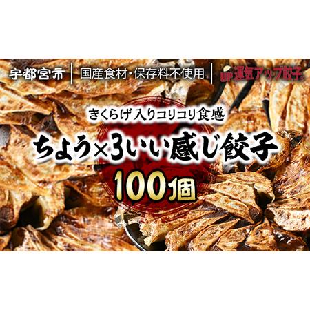 ふるさと納税 宇都宮餃子　ちょう×3いい感じ餃子　合計100個　保存料不使用 栃木県宇都宮市