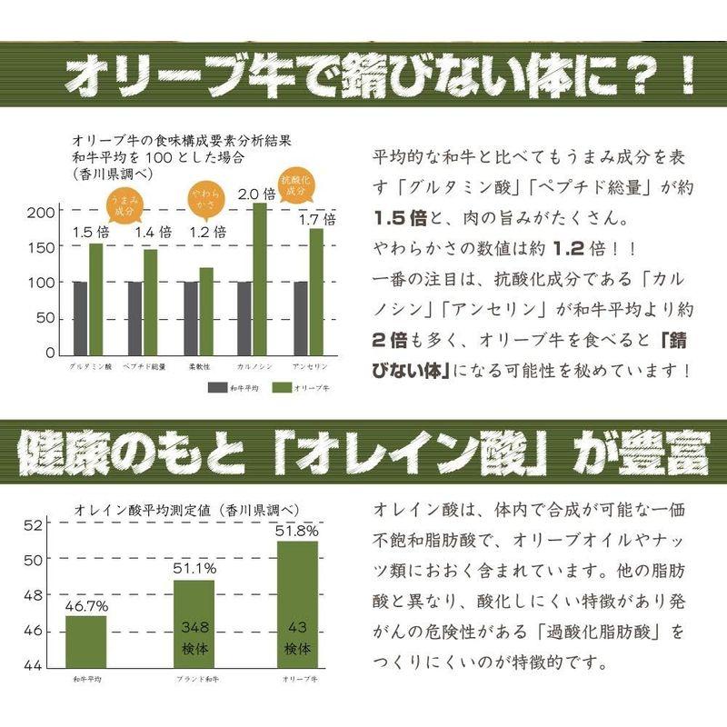 A4 A5ランク 特選 オリーブ牛 黒毛和牛 ロース焼肉 凍眠 テクニカン (500g(250g×2))