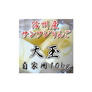 個数限定　長野 サンふじりんご大玉　限定１０ｋｇ　訳あり　こだわり信州産サンふじりんご　ご家庭用