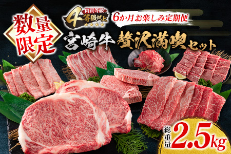 数量限定≪6か月お楽しみ定期便≫宮崎牛贅沢満喫セット(総重量2.5kg)　肉　牛　牛肉　国産 LD1-23