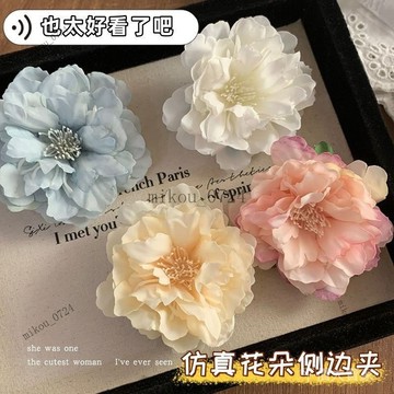 🎇免運特價✨純慾風仿真花朵髮夾女2025新款高端髮卡碎髮夾子頭飾側邊夾鴨嘴夾#免運