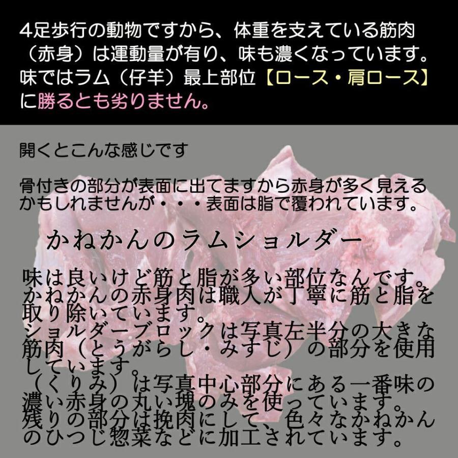 北海道 ラム肉 羊肉  ブロック ジンギスカン ラム ラムショルダー 500g×2 1kg  食材 冷凍 ご当地グルメ 食品  焼肉 お肉