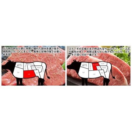 ふるさと納税 土佐和牛A5満喫セット2.3kg「南国」 牛肉 ステーキ 焼肉 すきやきしゃぶしゃぶ 高知県高知市