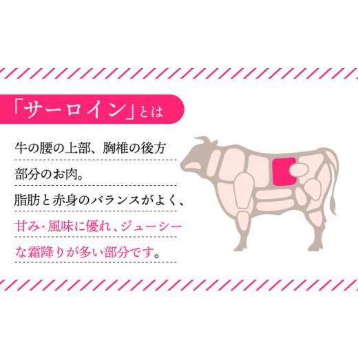 ふるさと納税 長崎県 東彼杵町 長崎和牛 サーロイン ステーキ 600g (200g×3枚) 肉 お肉 ステーキ肉 牛肉 和牛 希少部位 東彼杵町／黒牛 [BBU077]