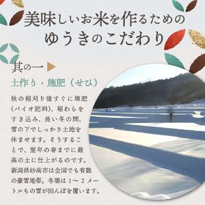 ふるさと納税 令和5年産新潟県妙高産斐太の里コシヒカリ「旬」5kg×6回（計30kg） 新潟県妙高市