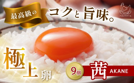 まるでサプリ！抗酸化でからだサビない・箱庭たまご「茜」9個 真岡市 栃木県