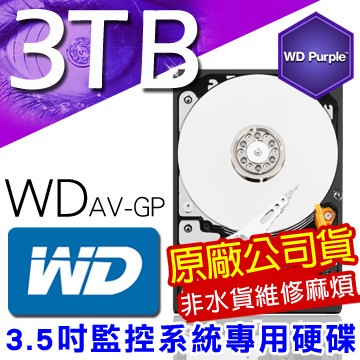 監控專用硬碟 3TB 3.5吋 SATA 降低耗電量 24 小時運作 超耐用