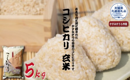 コシヒカリ　玄米5kg（茨城県共通返礼品・かすみがうら市産）