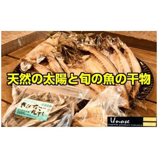 ふるさと納税 鹿児島県 錦江町 No.1084 一代目から続く製法！大満足の旬の干物セット