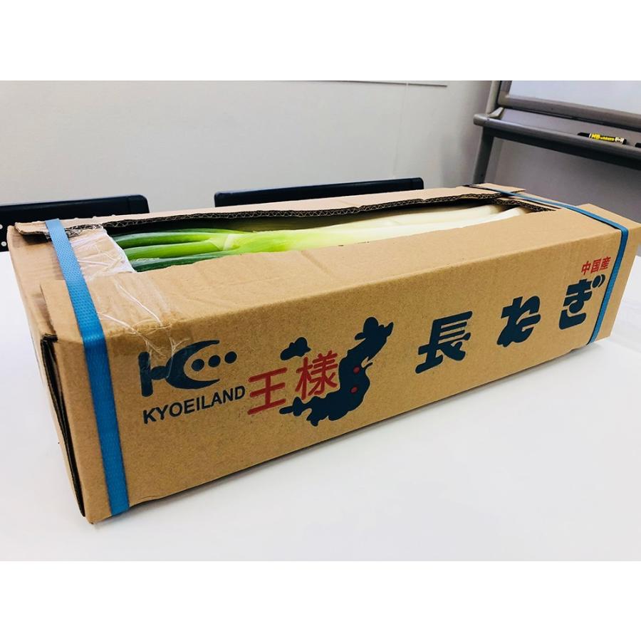 長ねぎ 10kg ＜5キロ×2箱＞業務用 中国産 箱売 使いやすい太い長葱 コスパ最強ねぎ まとめ買いがお得 安心供給 安定品質 ＜安心の国内検品＞＜クール便送料込＞