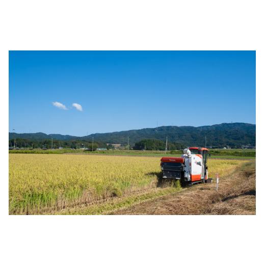 ふるさと納税 石川県 宝達志水町 特別栽培米 コシヒカリ 玄米 10kg×2 ／ 農家にしの ／ 石川県 宝達志水町 [38600246] 米 お米 ご飯 ごはん